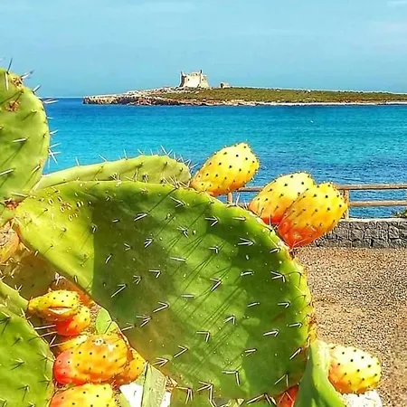 Casa Guttuso 1 Casa de Férias